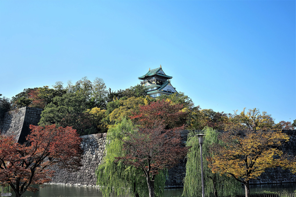 秋の大阪城
