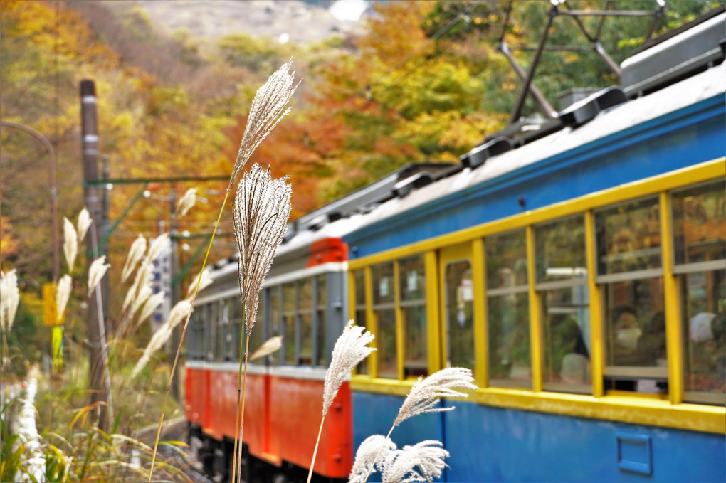 よくぞ復旧した箱根登山電車