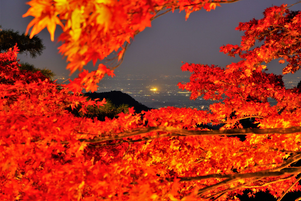 大山寺の紅葉ライトアップ2021