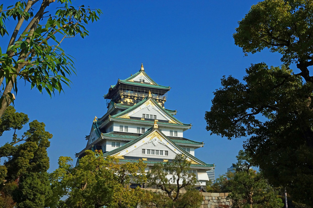 大阪城の秋　１