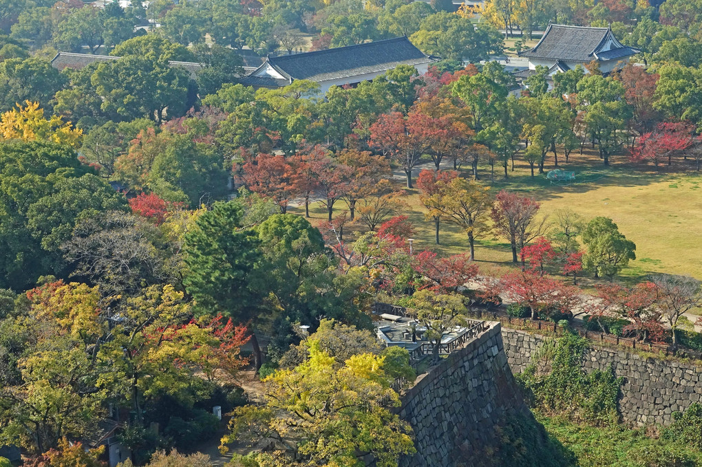 大阪城の秋２