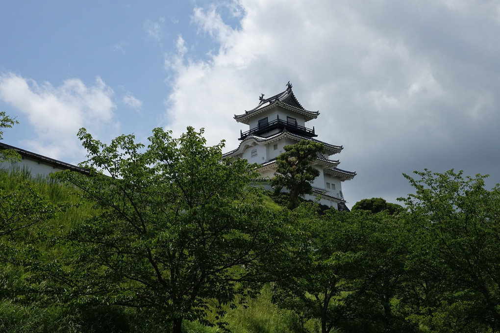 掛川城を行く
