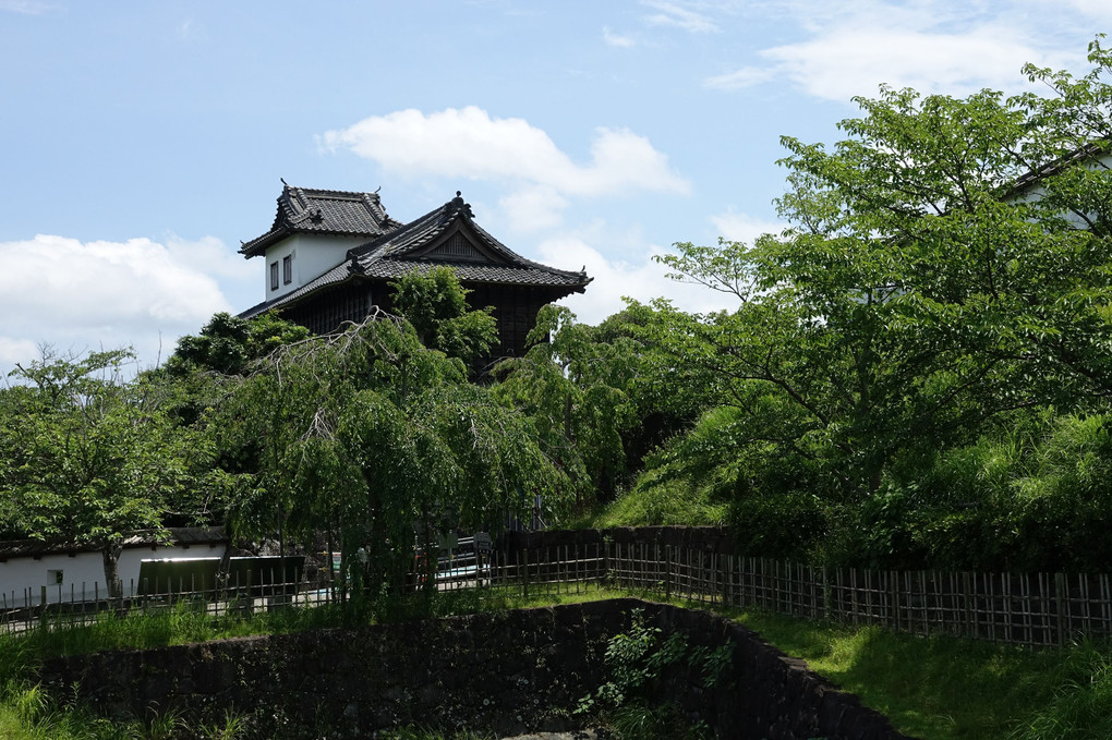 掛川城を行く