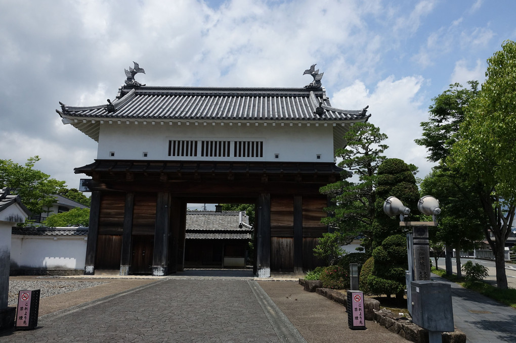 掛川城を行く