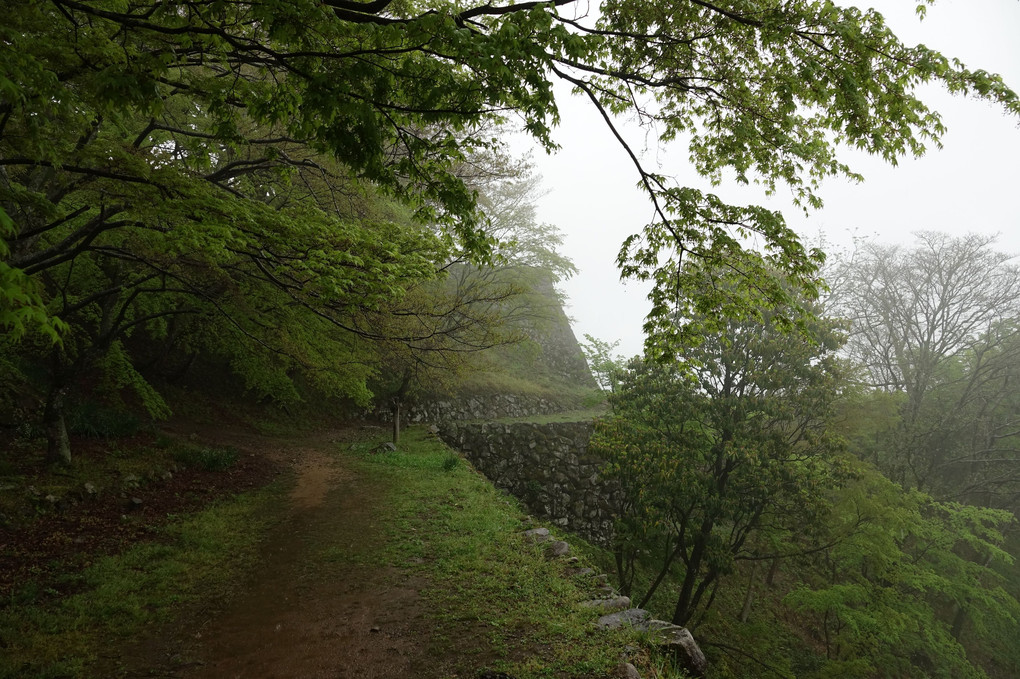 霧の津和野城を歩く２