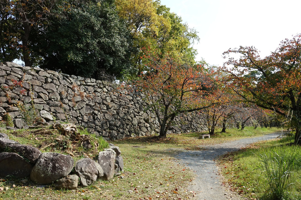 福岡城を歩く