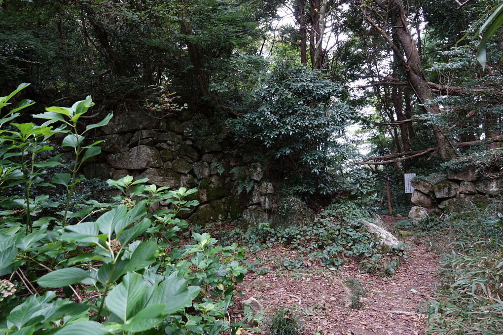 巨石の城　観音寺城　１