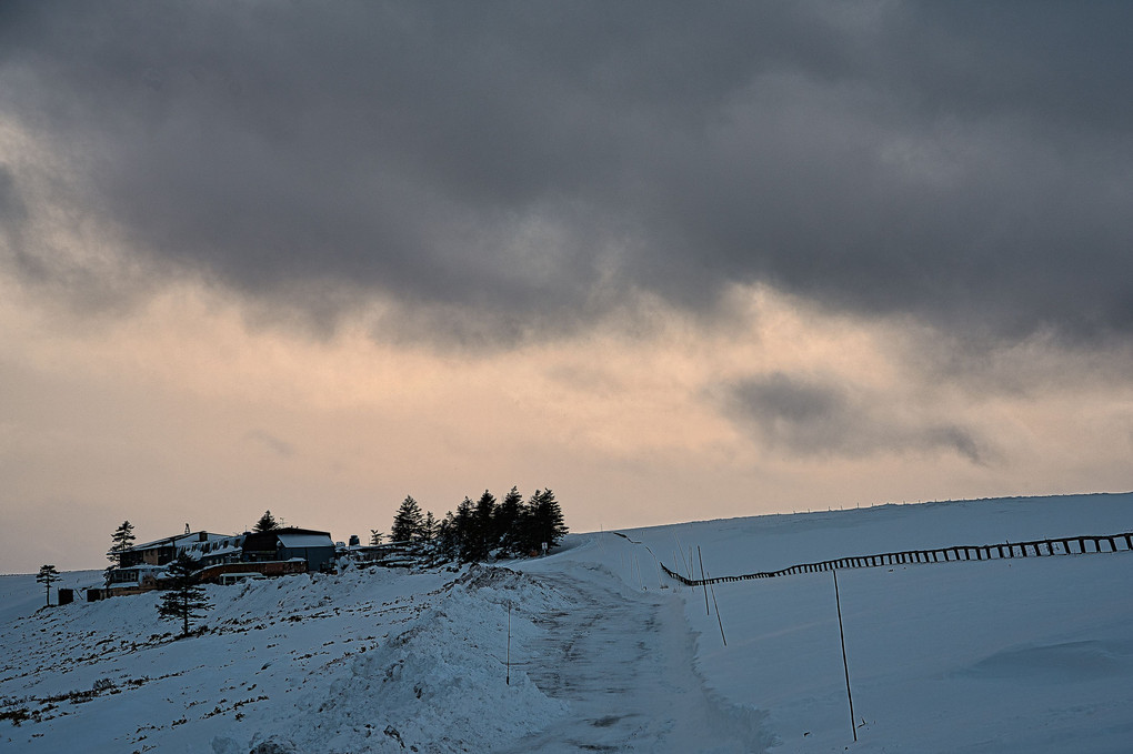 美ヶ原高原の冬風景