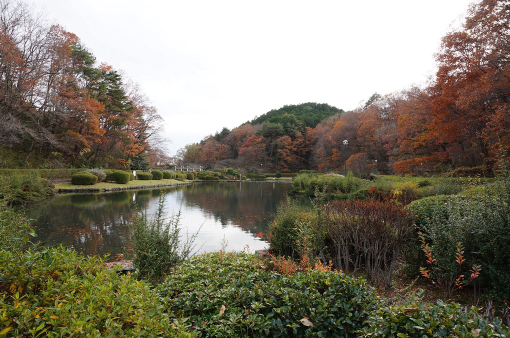 秋の公園