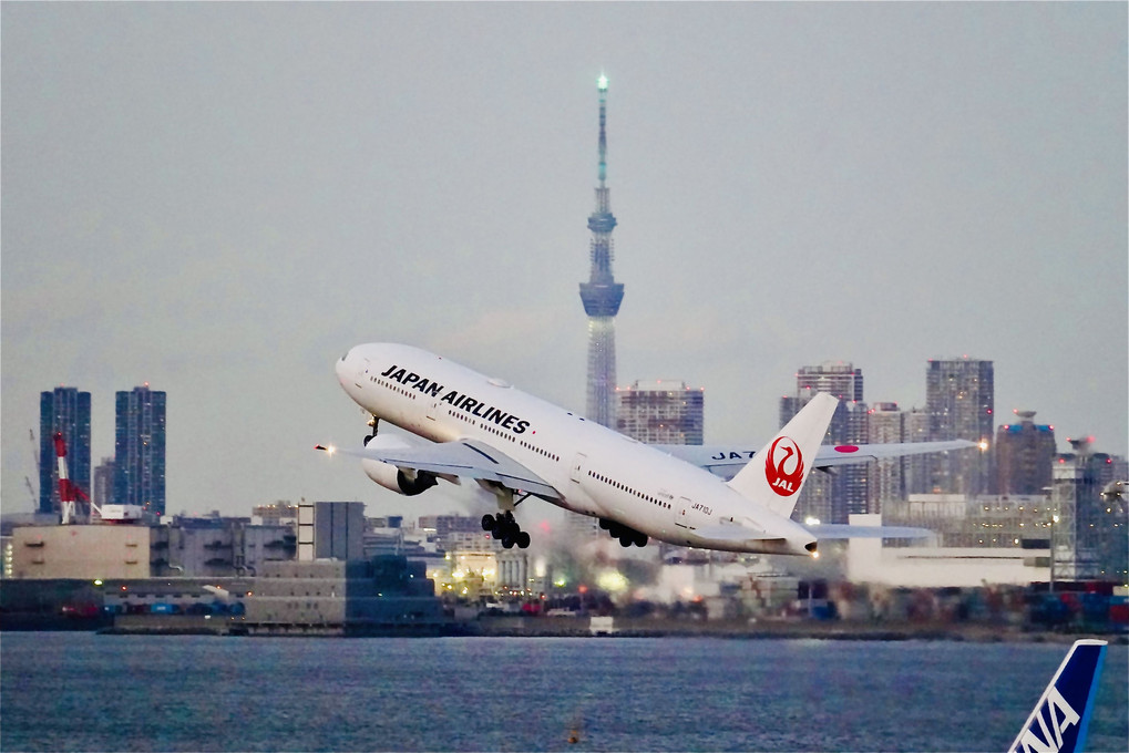 スカイツリーとJAL