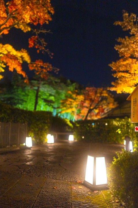 秋の夜散歩_3