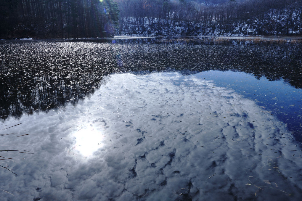 初雪の頃