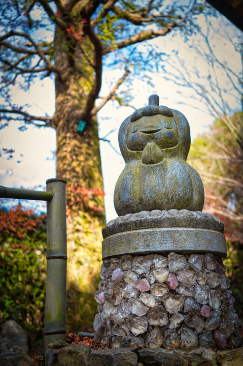 京都安楽寺の限定公開