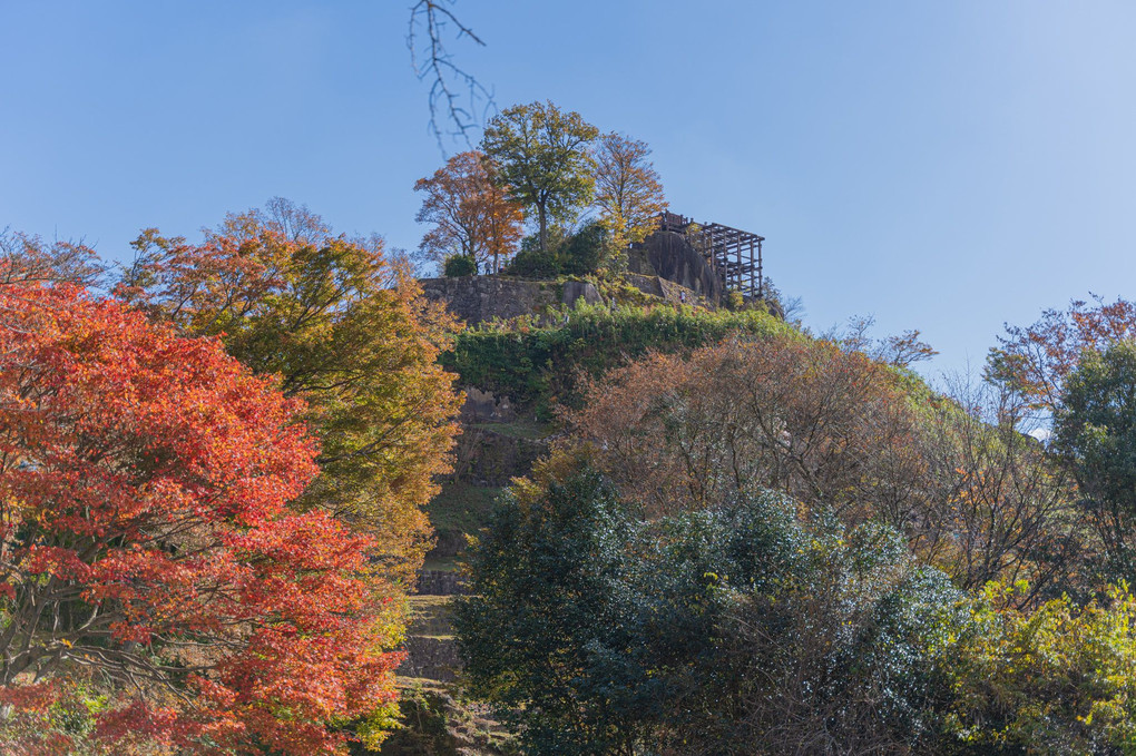 秋晴の苗木城