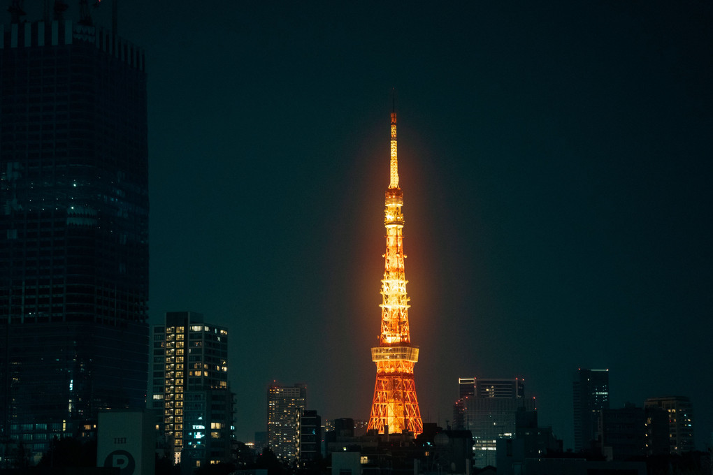 冬の訪れと東京タワー