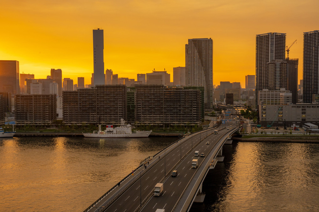 Tokyo evening view