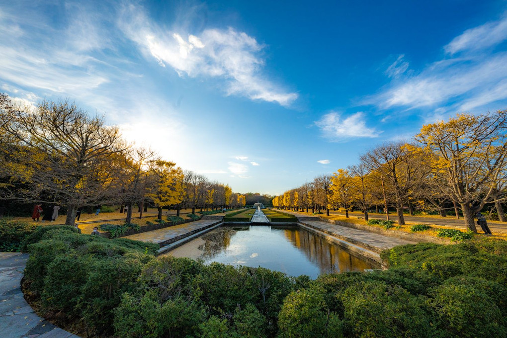 昭和記念公園2020
