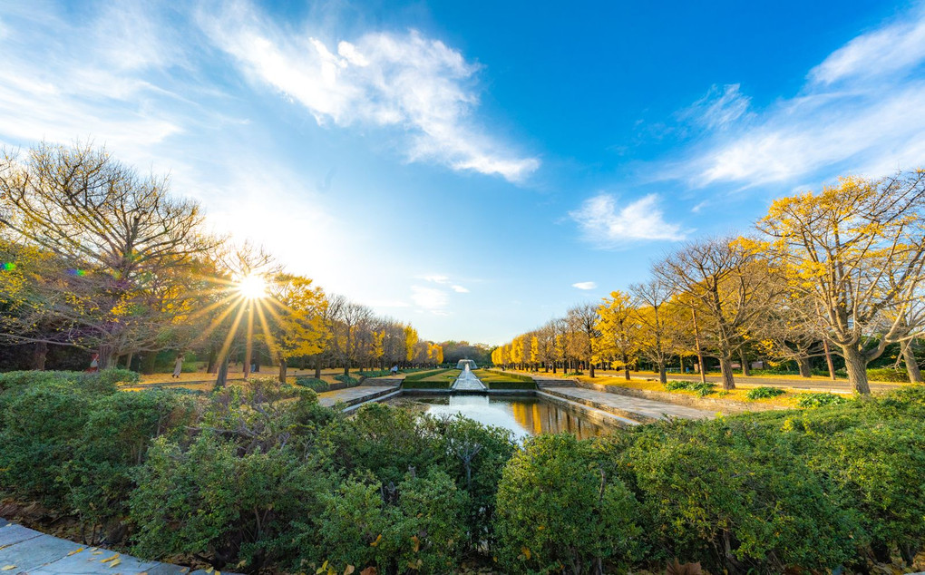 昭和記念公園　2020 