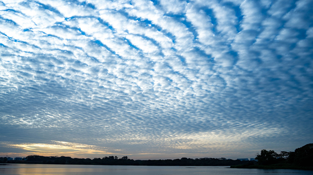 Lower Seletar Reservoir Park@Singapore