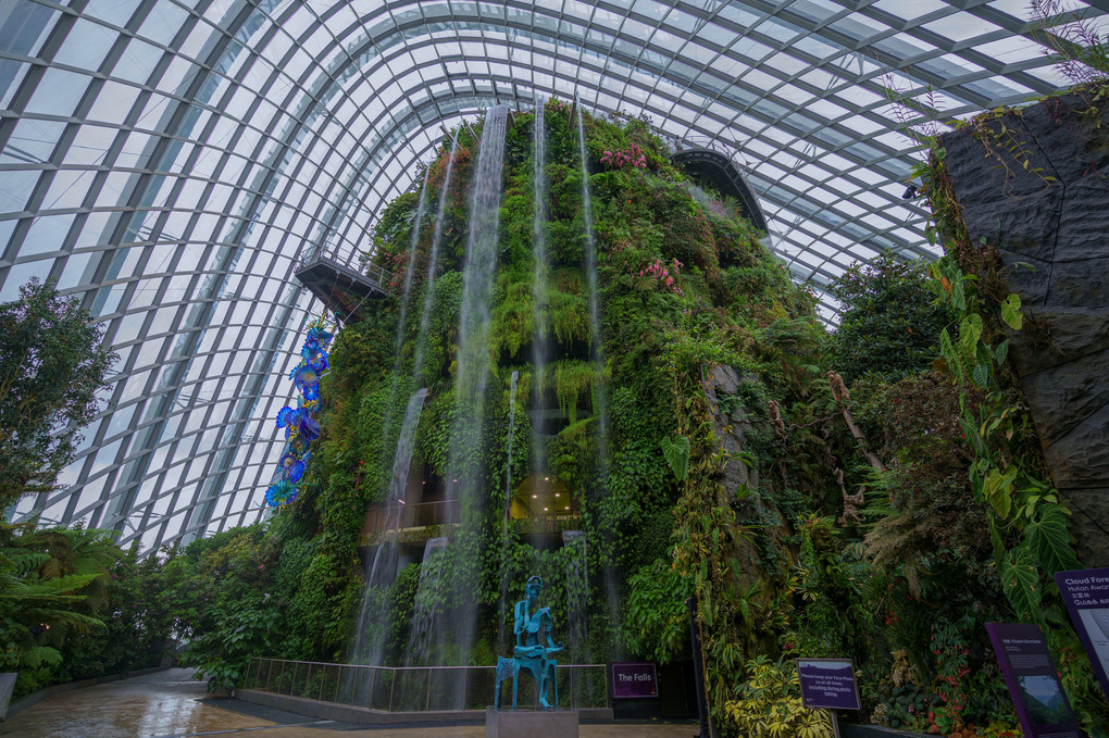 Cloud Forest@Singapore