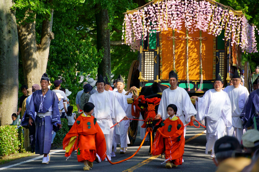 葵祭　斎王代列　-加茂街道を優雅に・・・-