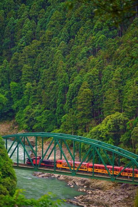 深緑の保津川トロッコ列車