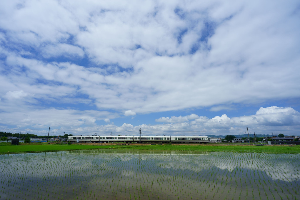 梅雨の晴れ間　水田とJR奈良線
