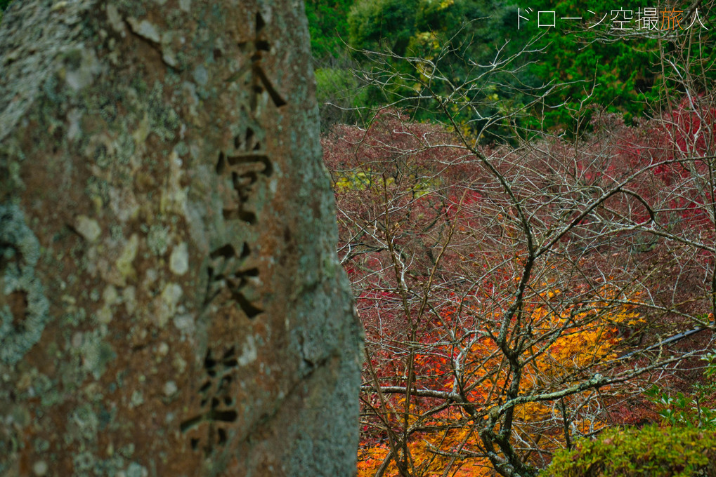 獨鈷観音・千手寺