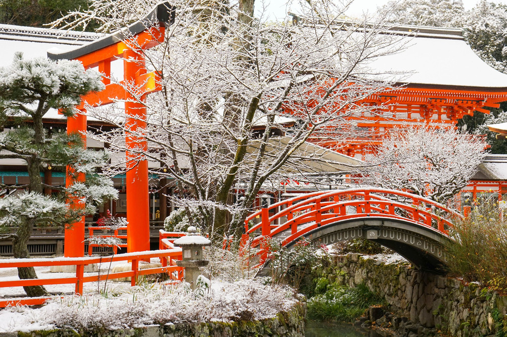 雪の下鴨神社