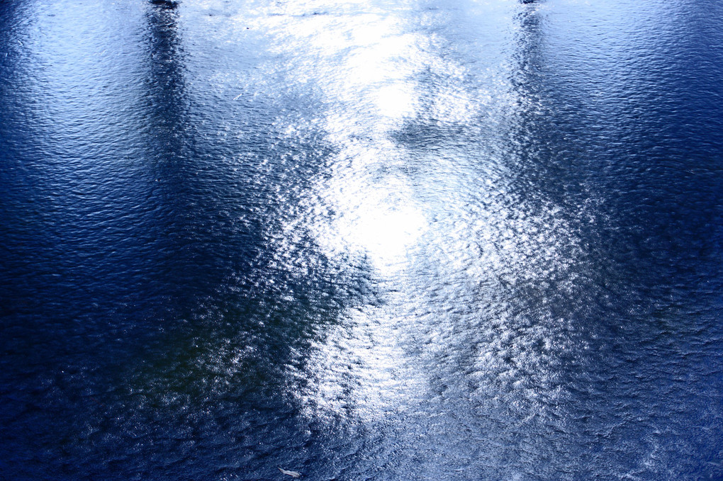 凍り付いた池の水面