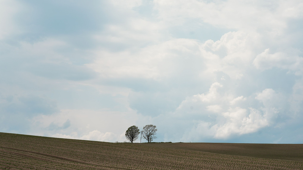 雲