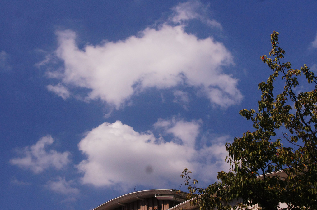 体育館に浮かぶ雲