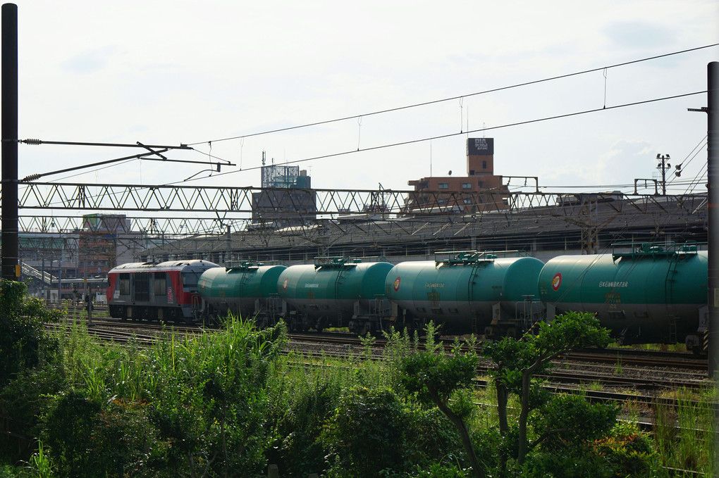 向野橋にレッドベアー