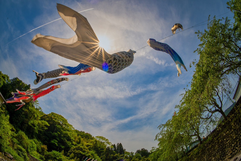 空へ泳ぐ