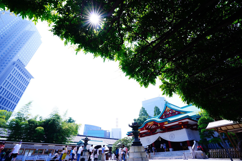 広角を楽しむ@赤坂の神社
