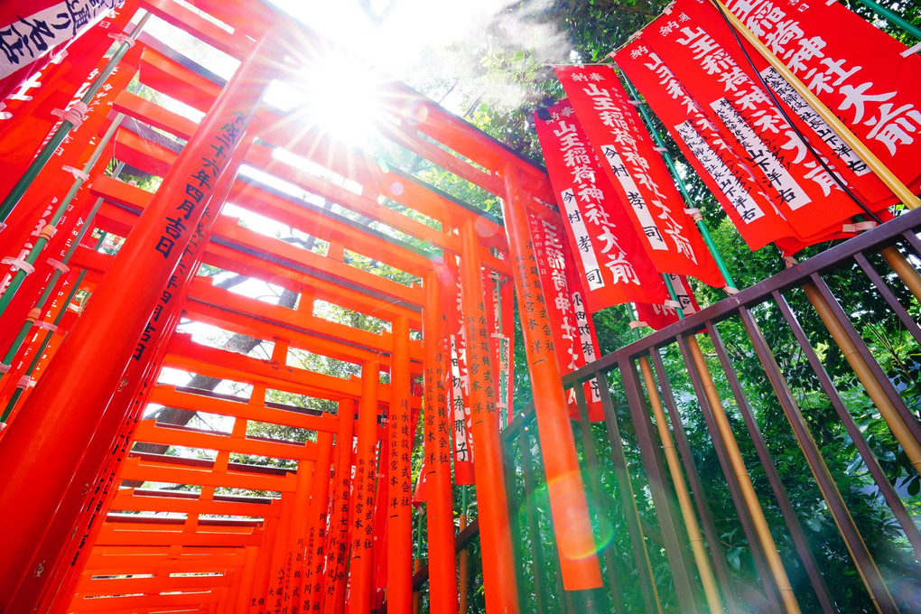 広角を楽しむ@赤坂の神社