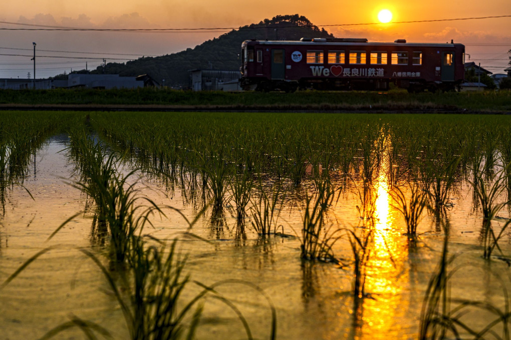 夕景の長良川鉄道