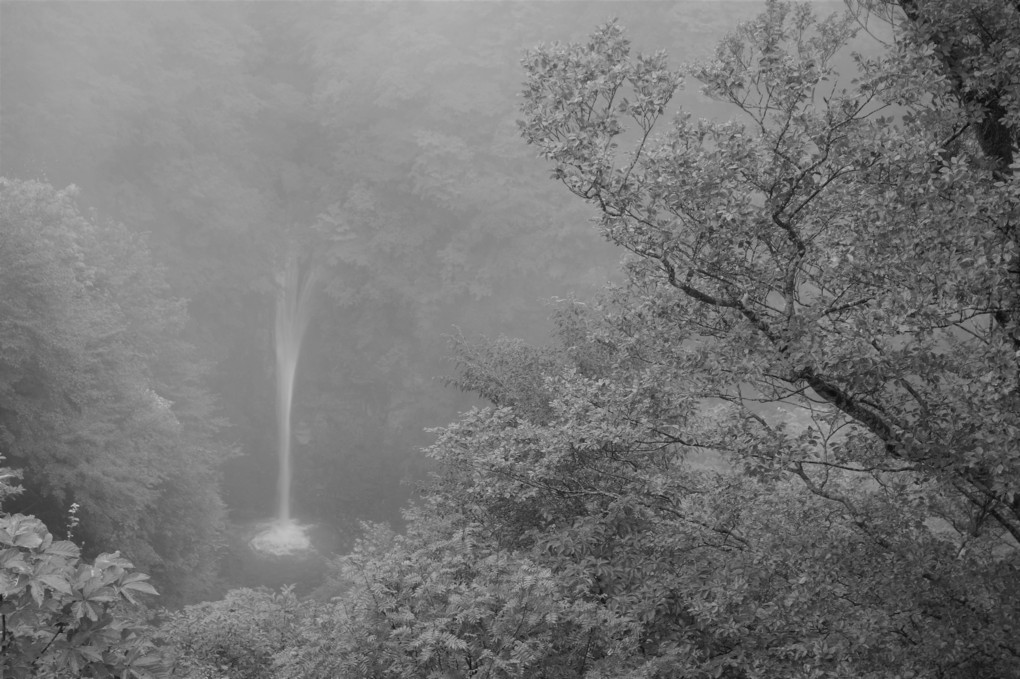 霧中の滝