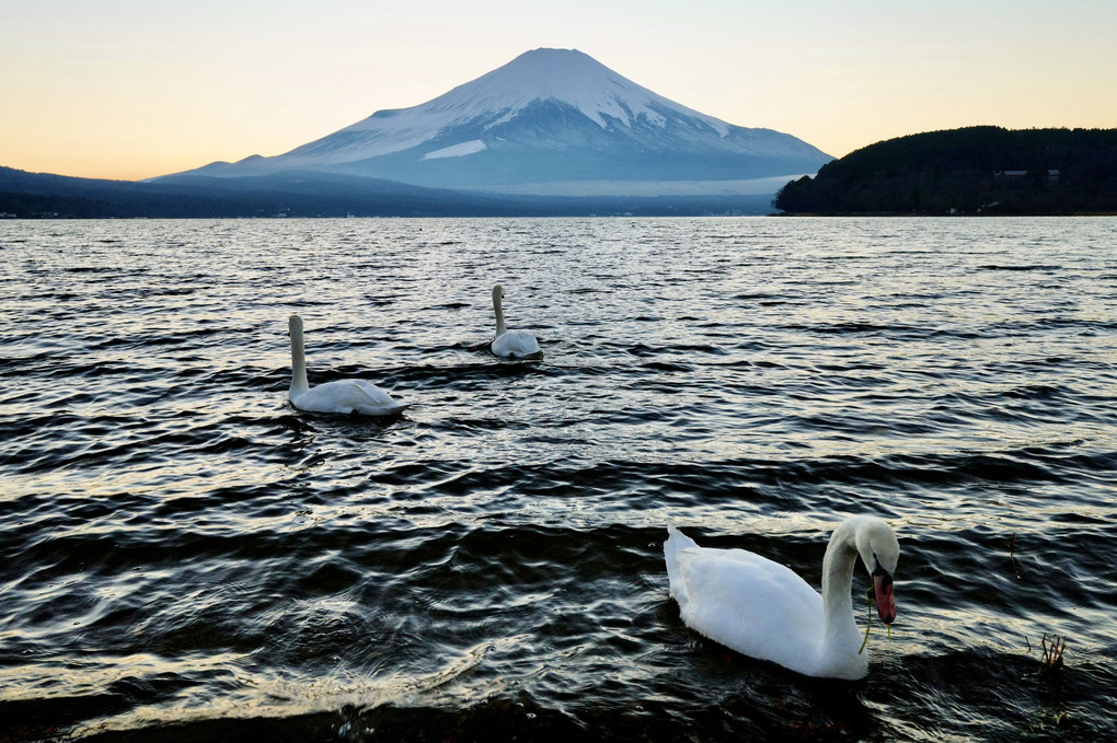 初冬の富士山