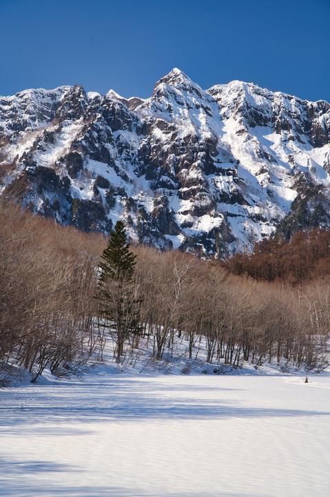 雪原と岩壁