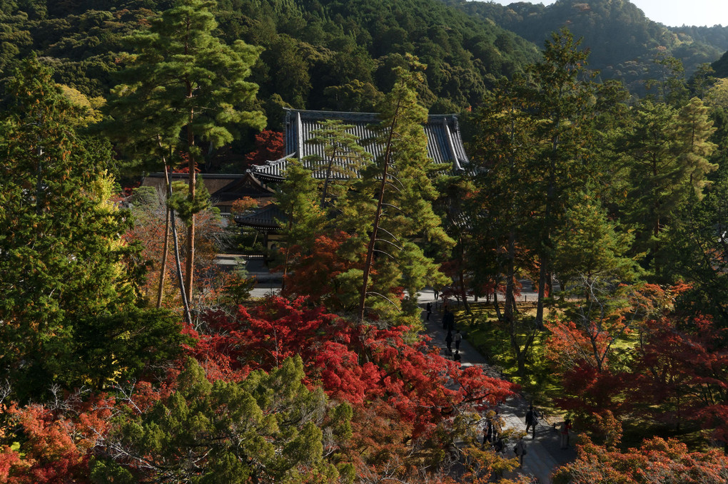 京都の紅葉 2022　南禅寺