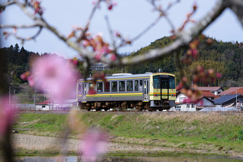 島根県雲南市大東町 桜のある風景