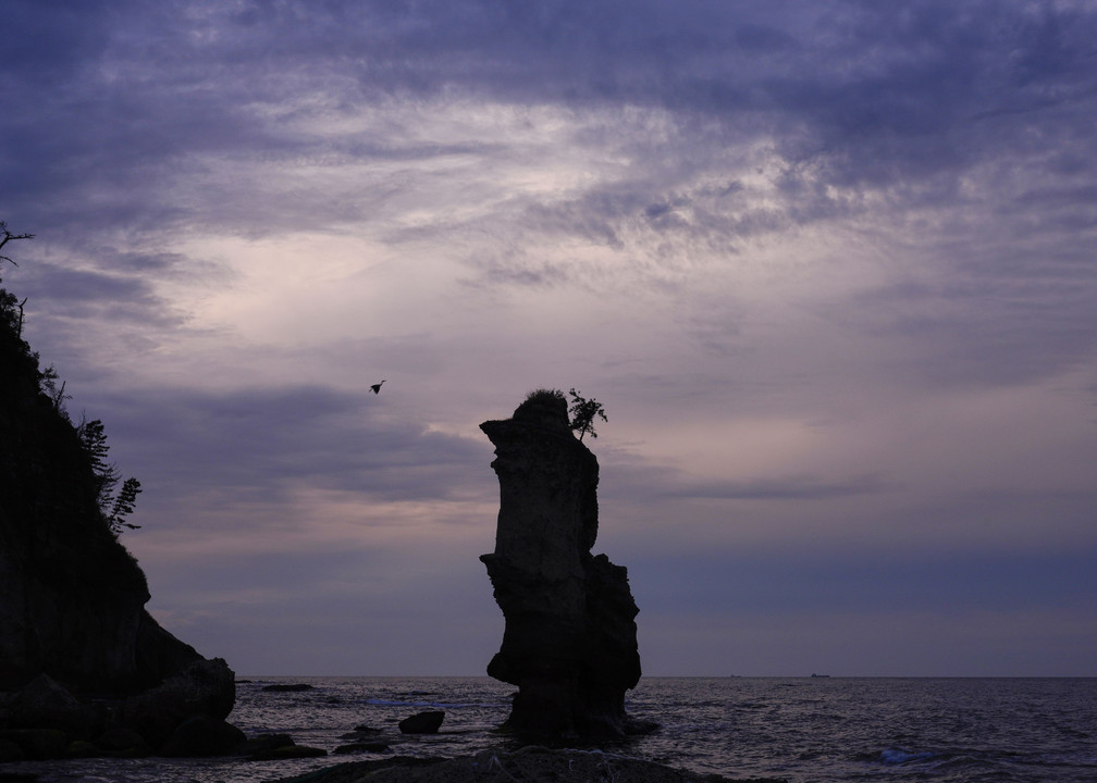 掛戸松島の夕景と #サギ#