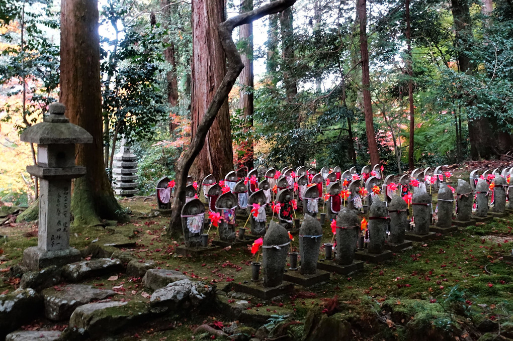 湖東を訪ねて（４）・・・金剛輪寺