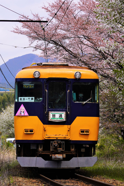 大井川鉄道の16000系