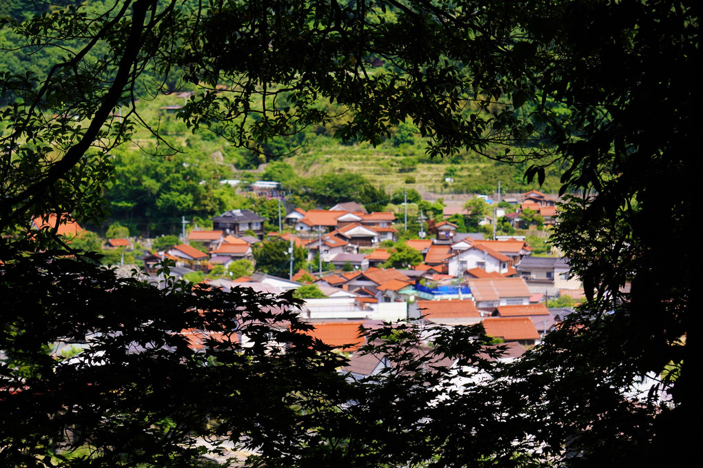 石州瓦に魅せられて