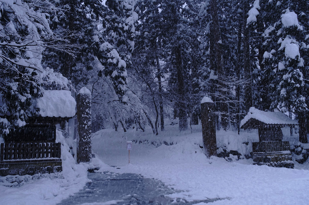 雪降る永平寺