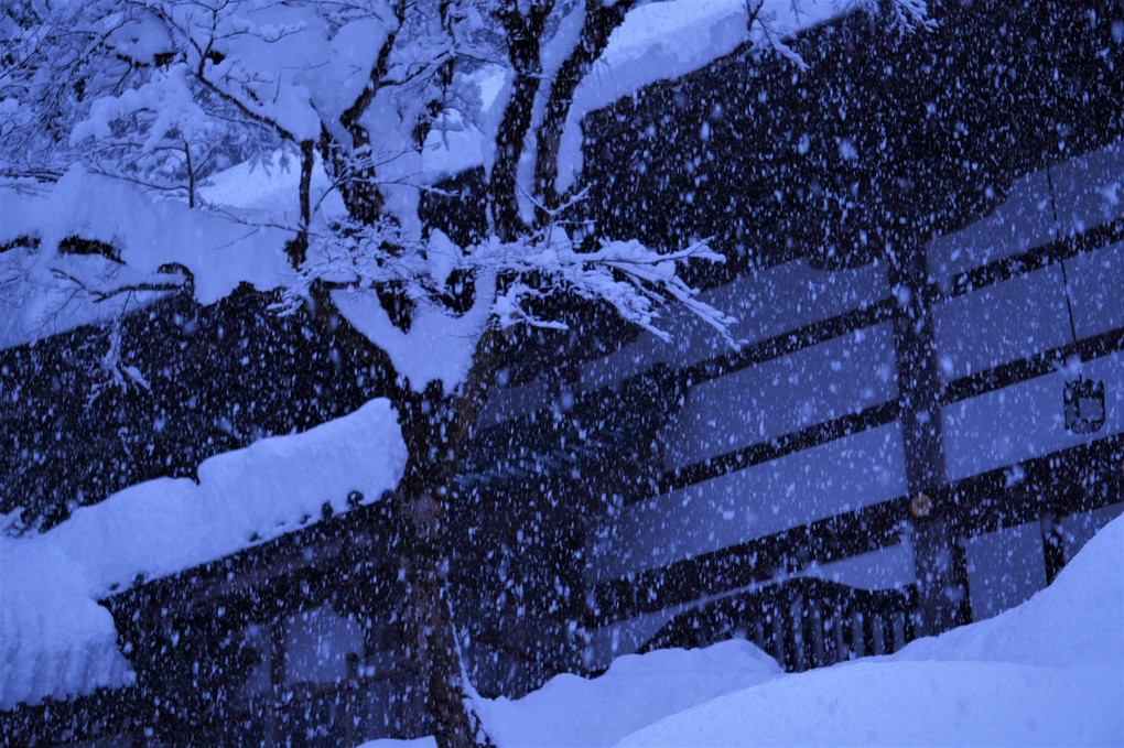 雪降る永平寺