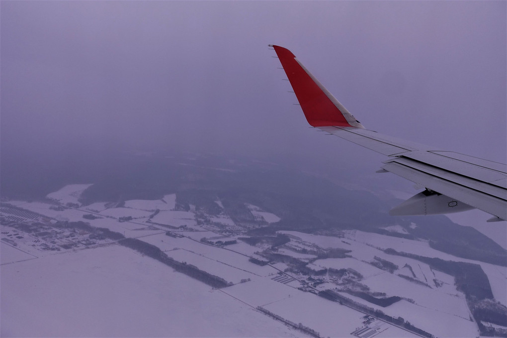 流氷（空から）