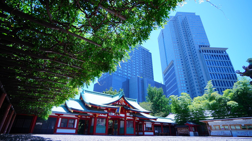 夏空の日枝神社
